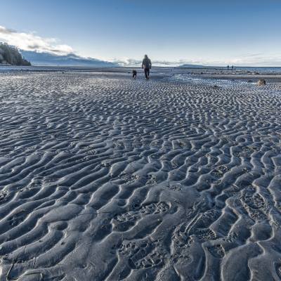 Rathtrevor Beach | Visit Parksville Qualicum Beach | Parksville ...