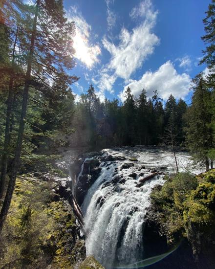 Guide to Englishman River Falls Provincial Park - Parksville Qualicum ...