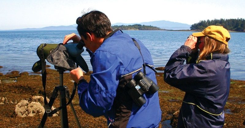 Bird Watching | Parksville Qualicum Beach Tourism