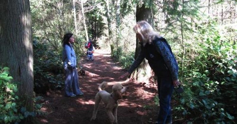 One of the Island's Best Official Off-Leash Areas | Parksville Qualicum Beach Tourism