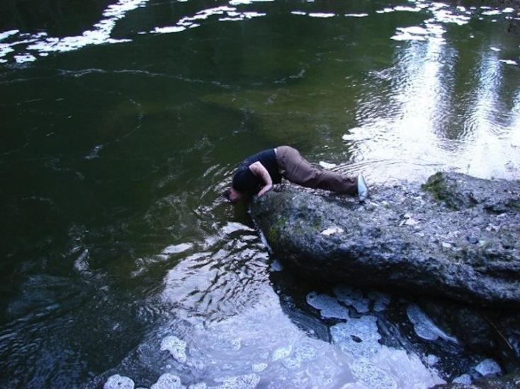 FLY FISHING WILD RAINBOW TROUT at ENGLISHMAN RIVER Vancouver